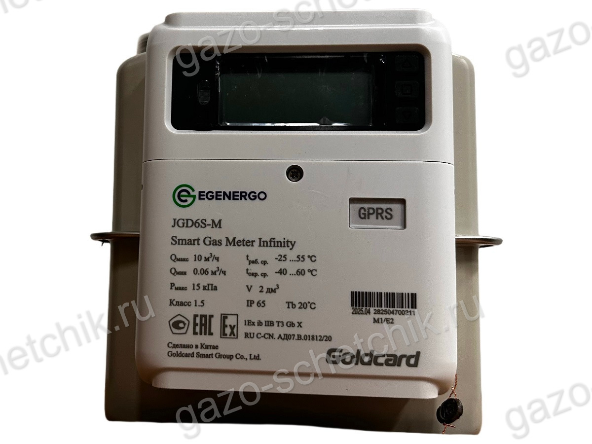 Газовый счетчик GoldCard Infinity G6 152 мм